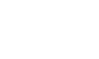 vivense